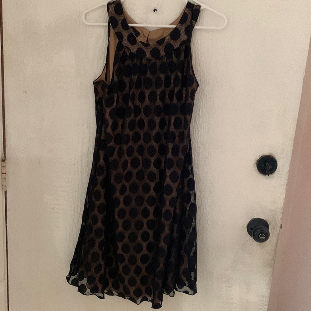 Black, lace all occasion dress!
